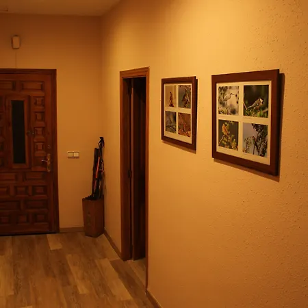 Casa * Gerbe